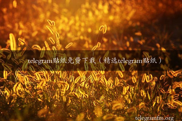 telegram贴纸免费下载（精选telegram贴纸）