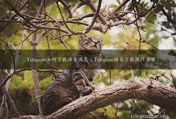 Telegram如何下载语音消息（Telegram语音下载操作步骤）