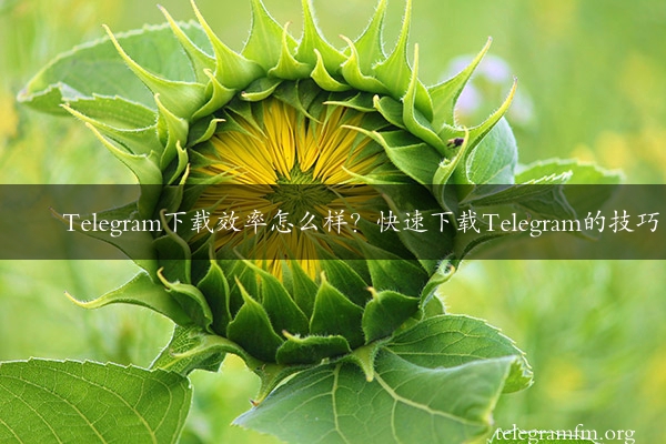 Telegram下载效率怎么样？快速下载Telegram的技巧