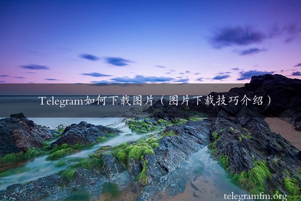 Telegram如何下载图片（图片下载技巧介绍）