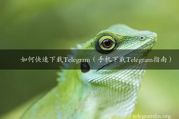 如何快速下载Telegram（手机下载Telegram指南）