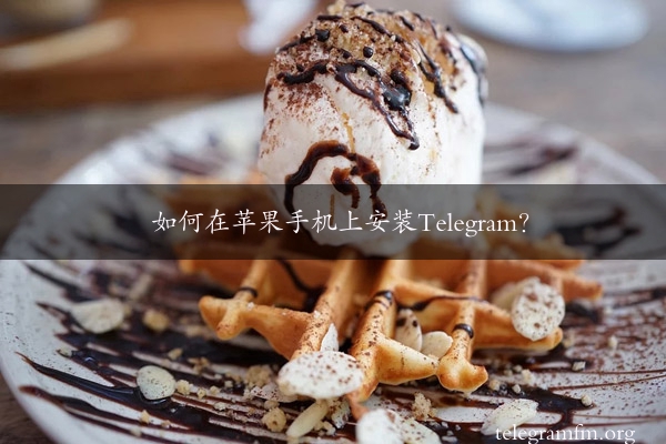 如何在苹果手机上安装Telegram？