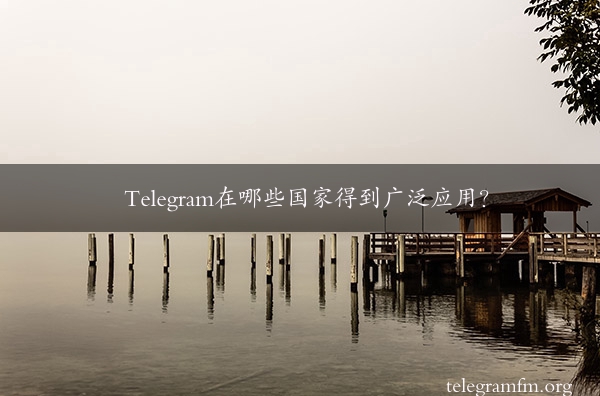 Telegram在哪些国家得到广泛应用？