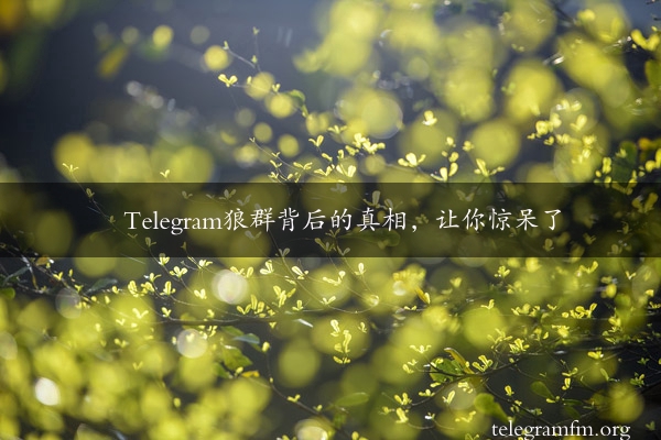 Telegram狼群背后的真相，让你惊呆了