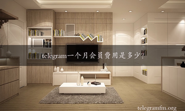 telegram一个月会员费用是多少？