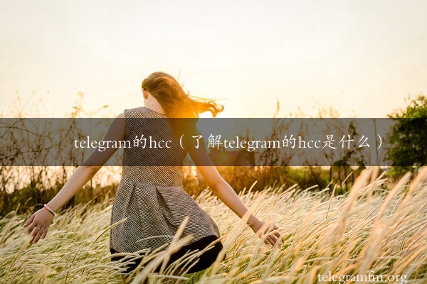 telegram的hcc（了解telegram的hcc是什么）