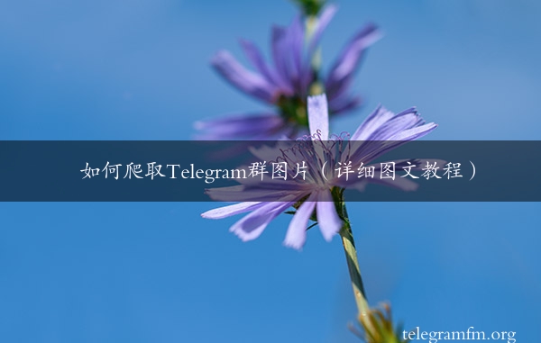 如何爬取Telegram群图片（详细图文教程）