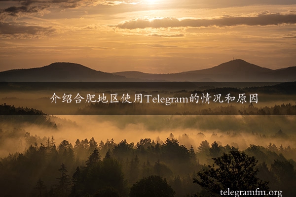 介绍合肥地区使用Telegram的情况和原因