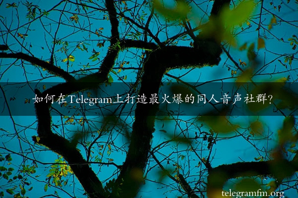 如何在Telegram上打造最火爆的同人音声社群？