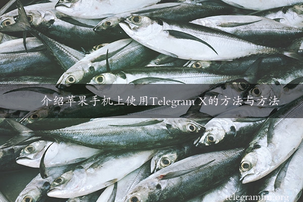 介绍苹果手机上使用Telegram X的方法与方法