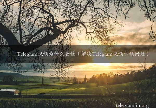 Telegram视频为什么会慢（解决Telegram视频卡顿问题）