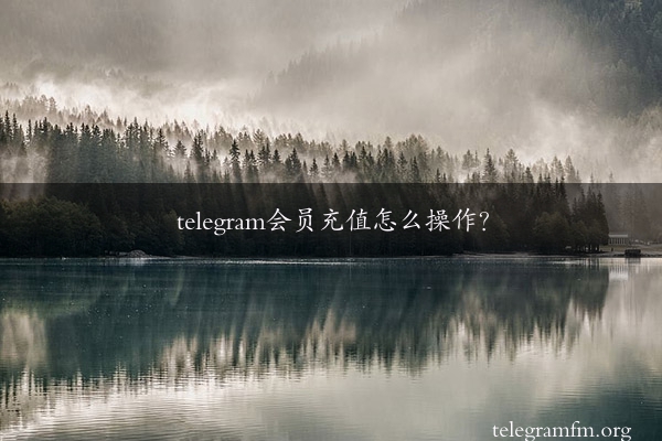 telegram会员充值怎么操作？