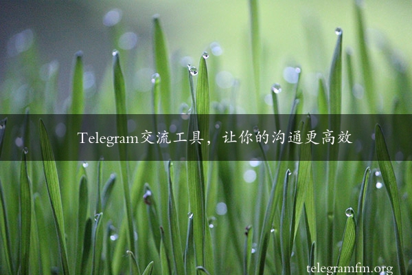 Telegram交流工具，让你的沟通更高效