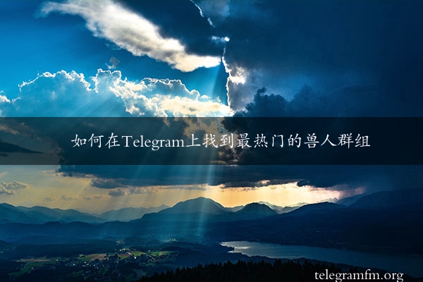 如何在Telegram上找到最热门的兽人群组