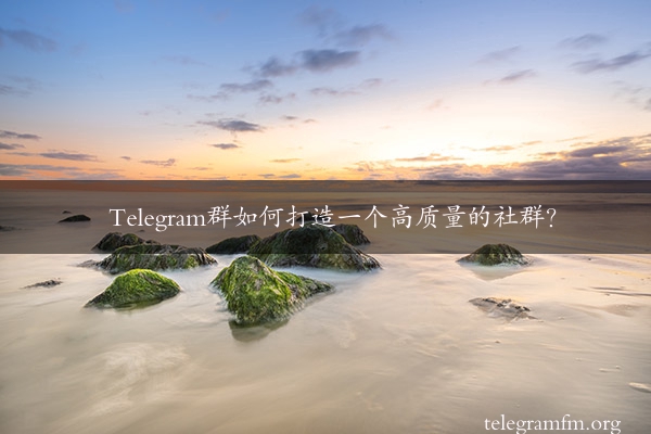 Telegram群如何打造一个高质量的社群？