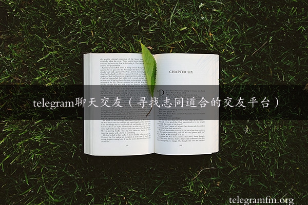 telegram聊天交友（寻找志同道合的交友平台）