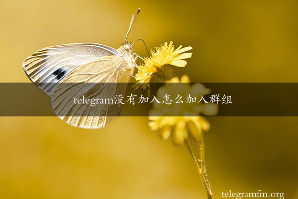 telegram没有加入怎么加入群组